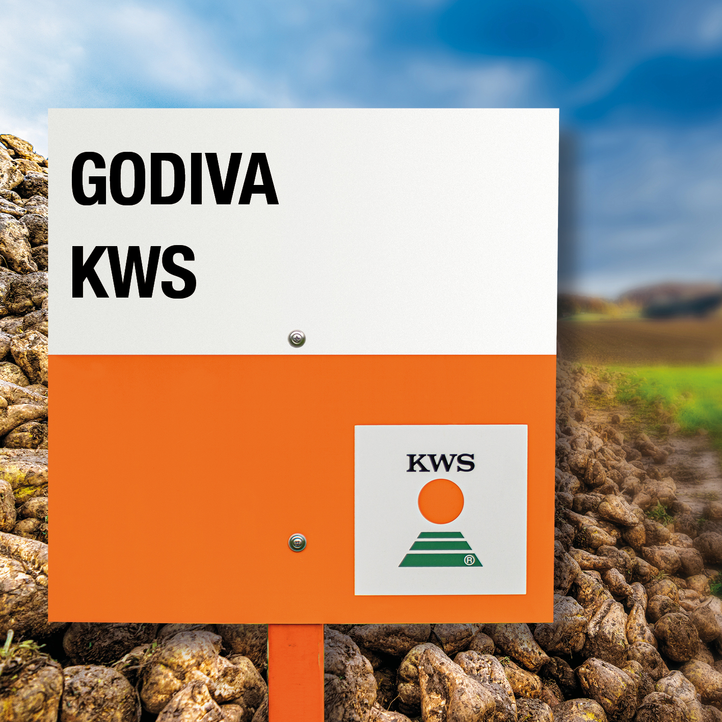 Godiva_KWS.jpg