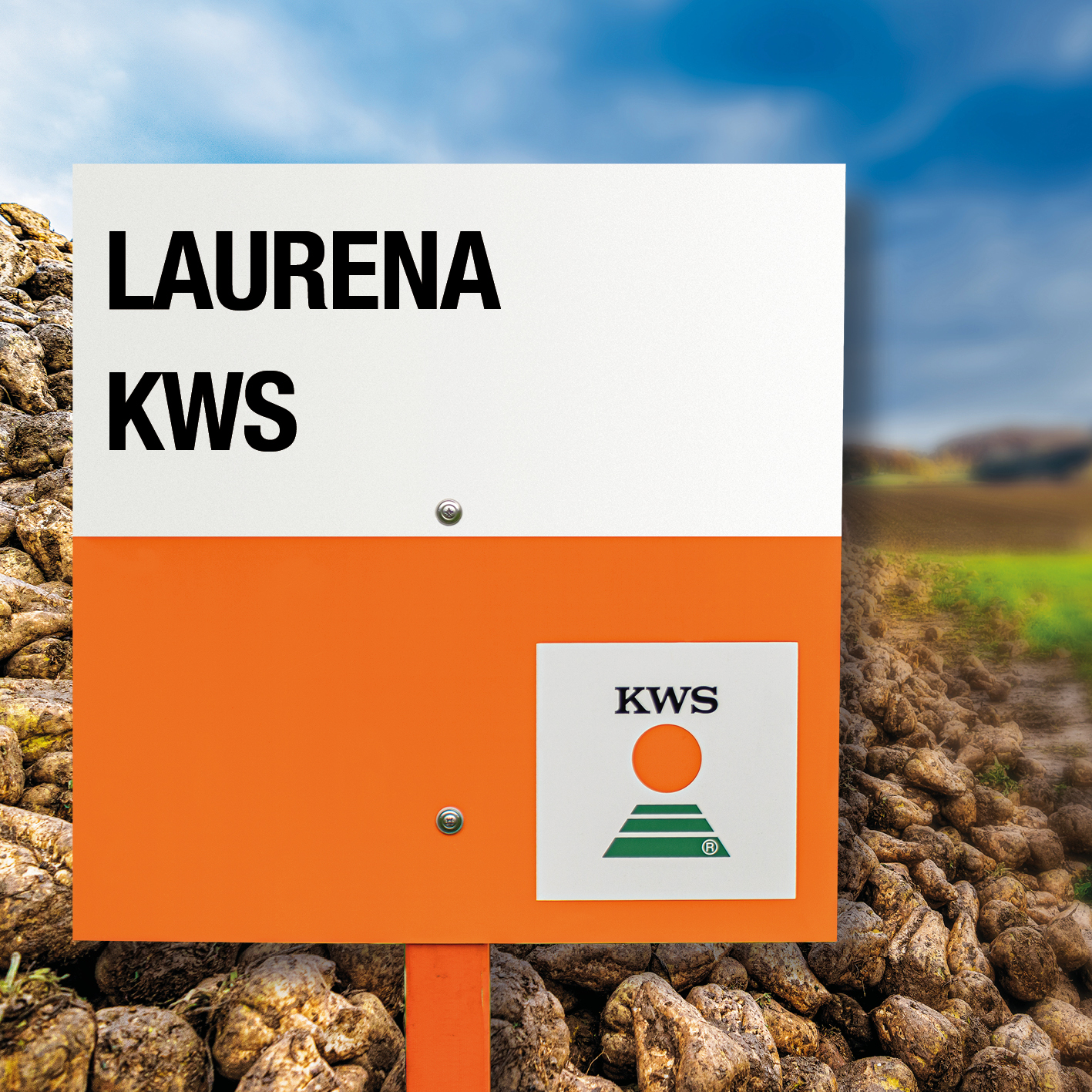 Laurena_KWS.jpg