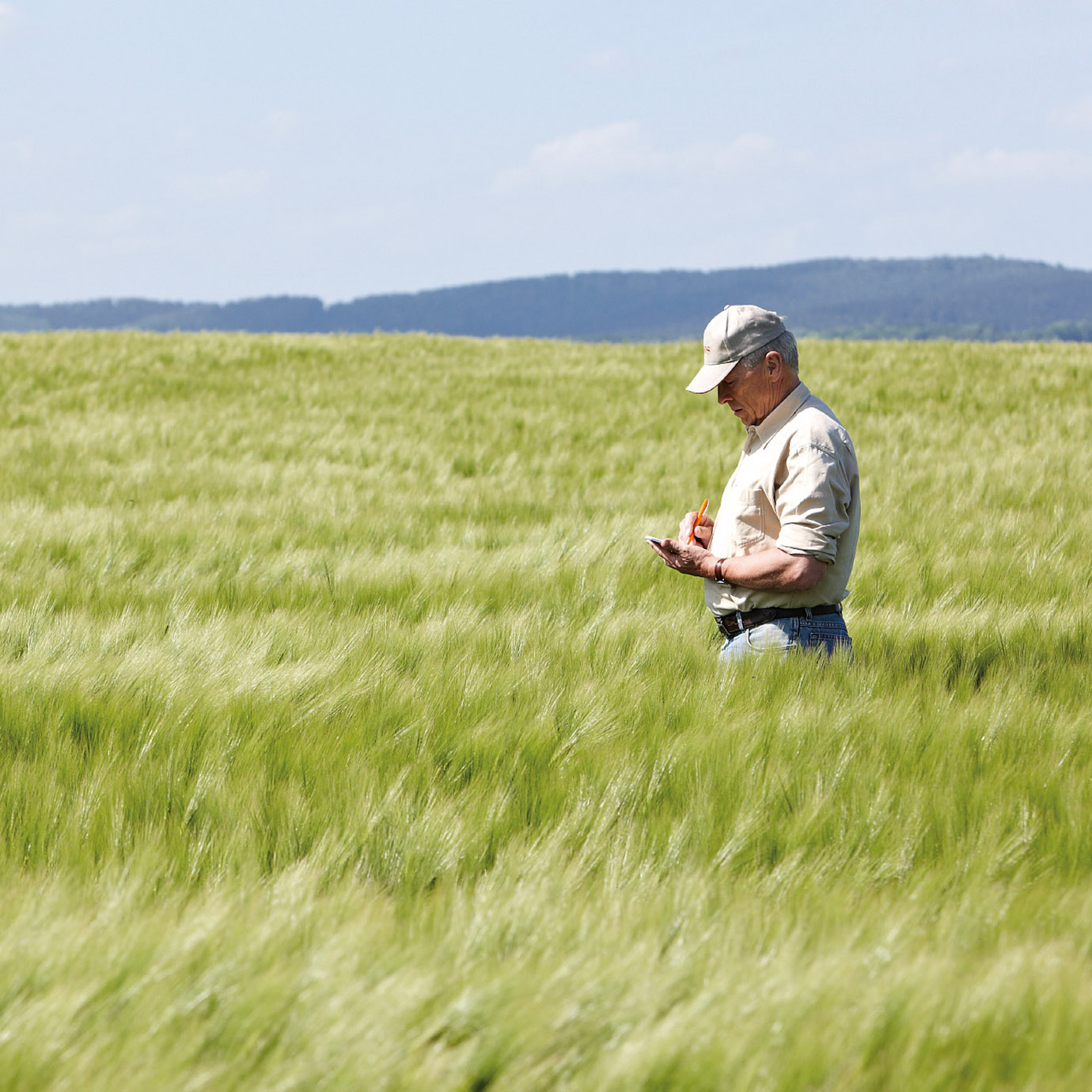 kws_cereals_kws_________fantex_1.jpg