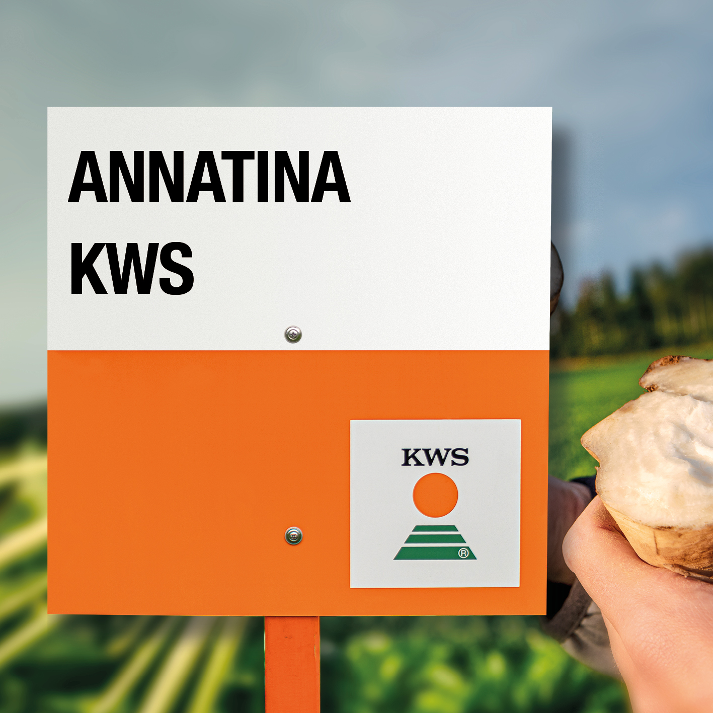 ANNATINA_KWS.jpg