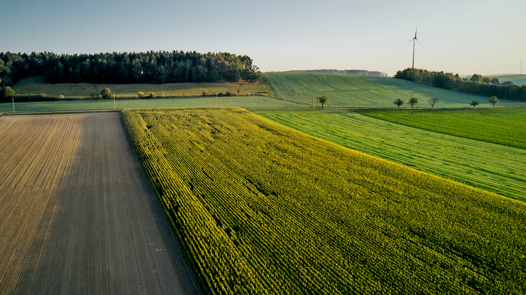 KWS0920_fields_crop_rotation_0156.png