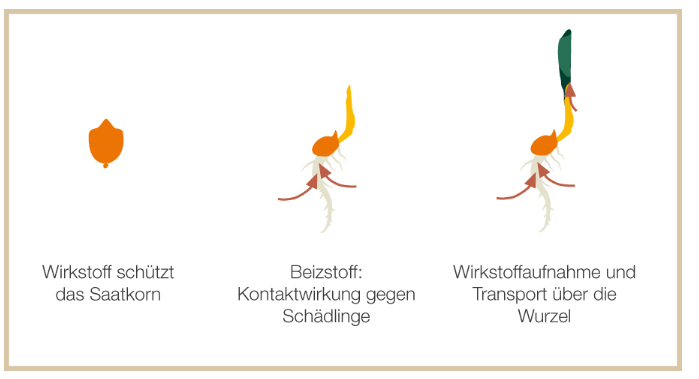 Bron: Bayer Cropscience