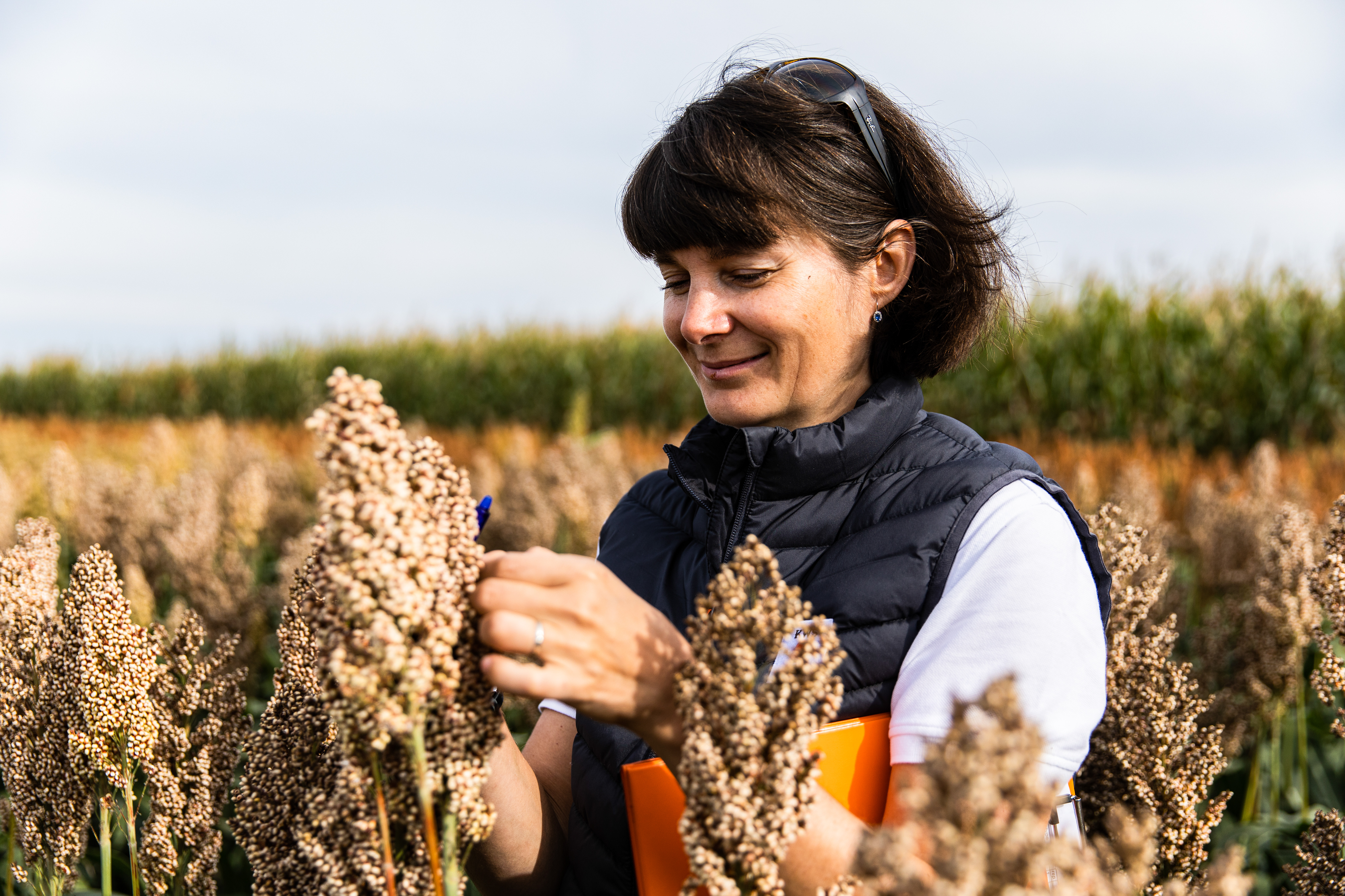 KWS_Sorghum_Product_Manager_Dr_Magdalena_Buschmann.jpeg